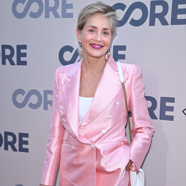 Sharon Stone: AI is never going to be the Rolling Stones